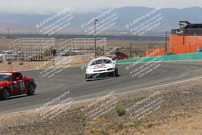 media/May-03-2025-Lucky Dog Racing (Sat) [[206de64b9d]]/Turn 4 B (1150am-130pm)/